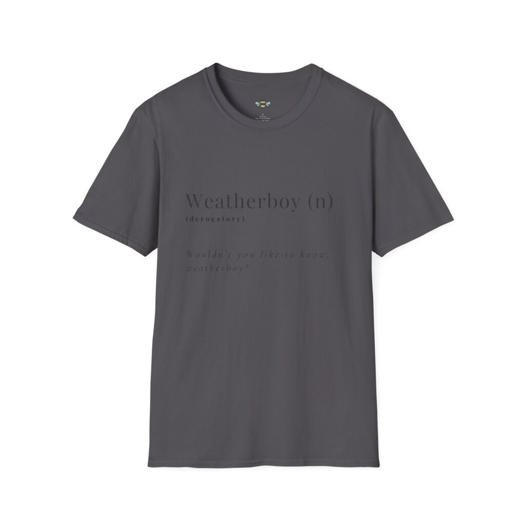 Funny tee shirt that has the definition to "Weatherboy" as "wouldn't you like to know, weatherboy?"